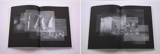 Brittle Land, an artist book on Alexandra Navratil.